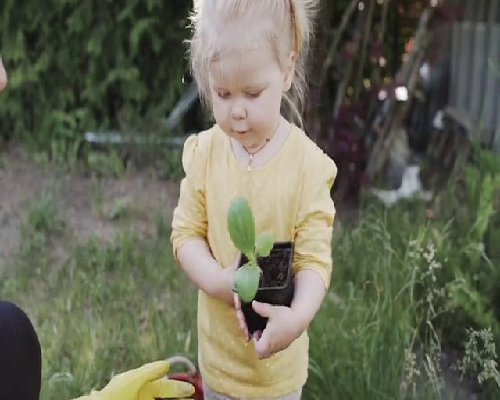 代生助孕服务-伤寒疫苗哪些人不可以打？轻微感冒、经期勿盲目接种