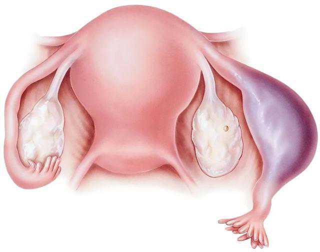 3-11岁的小学生打哪种新冠疫苗比较好？北京科兴和成都生物有什么区别？