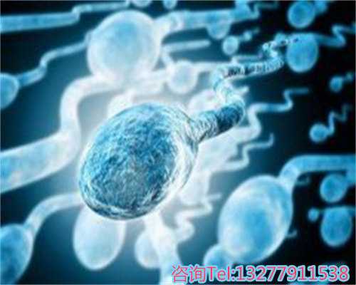 上海九院和仁济两家试管医院，哪家技术更好？