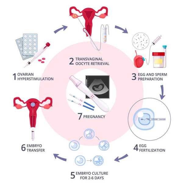 2026高龄失独母亲郭敏生双胞胎的最新状况如何？