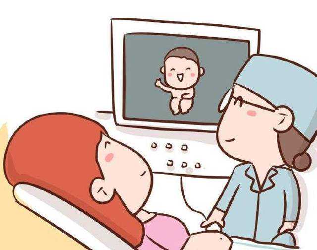 中医说喝黄芪能生男孩？靠谱吗？