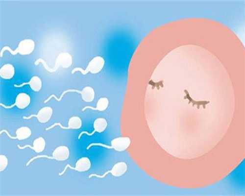 高龄丧子还有必要再通过医学手段再生一个吗？